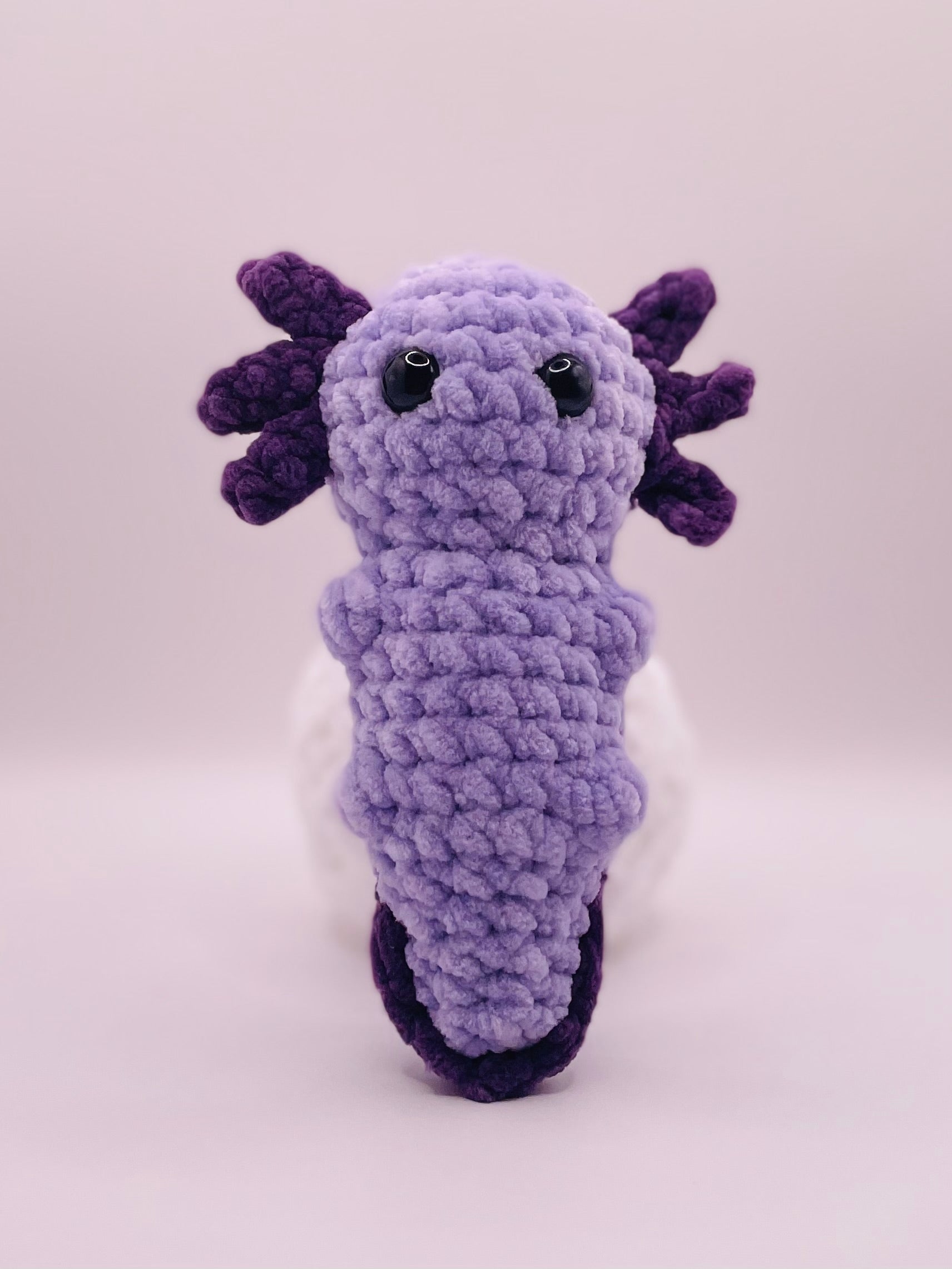 Axolotl