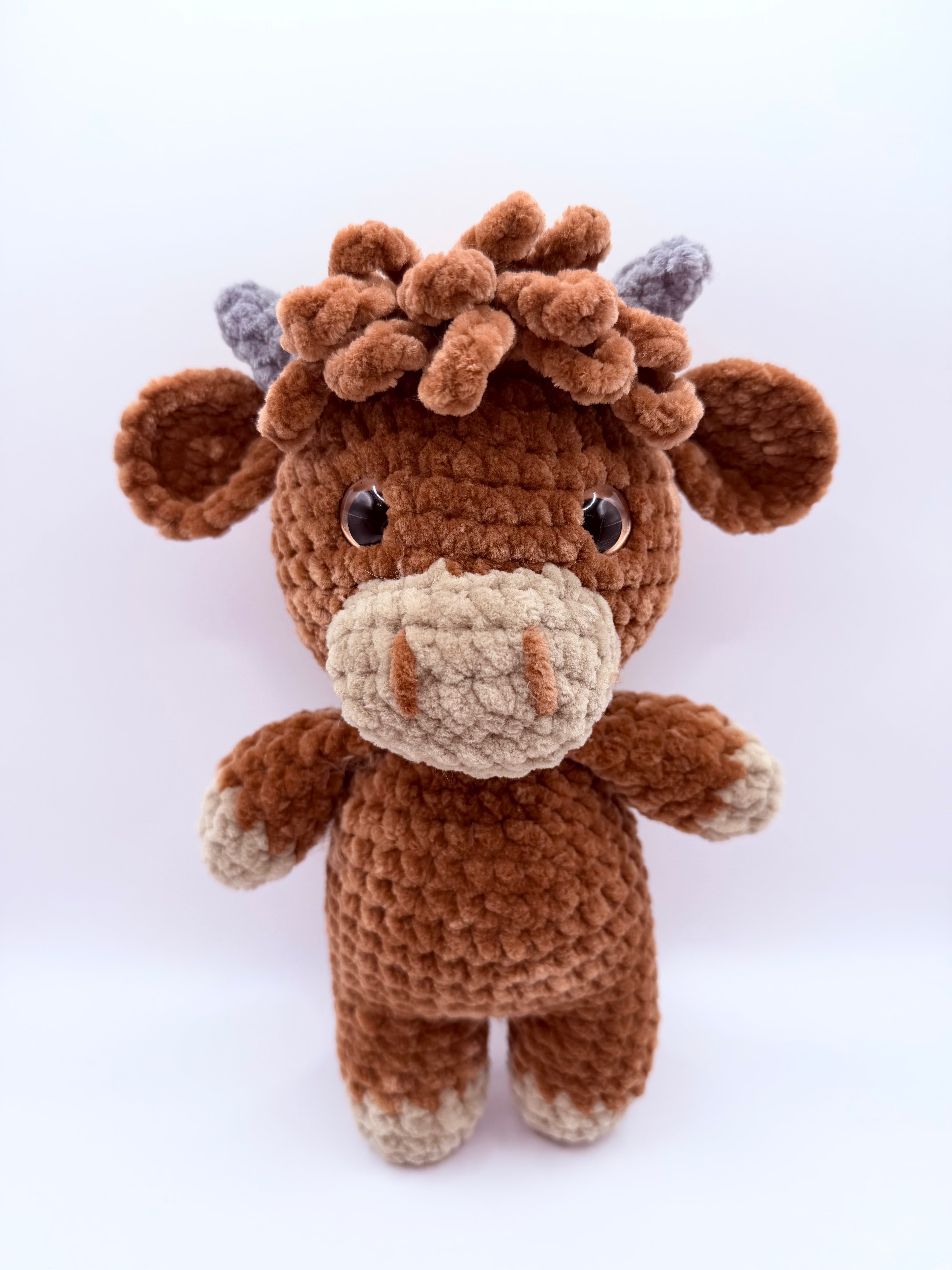 Highland Cow