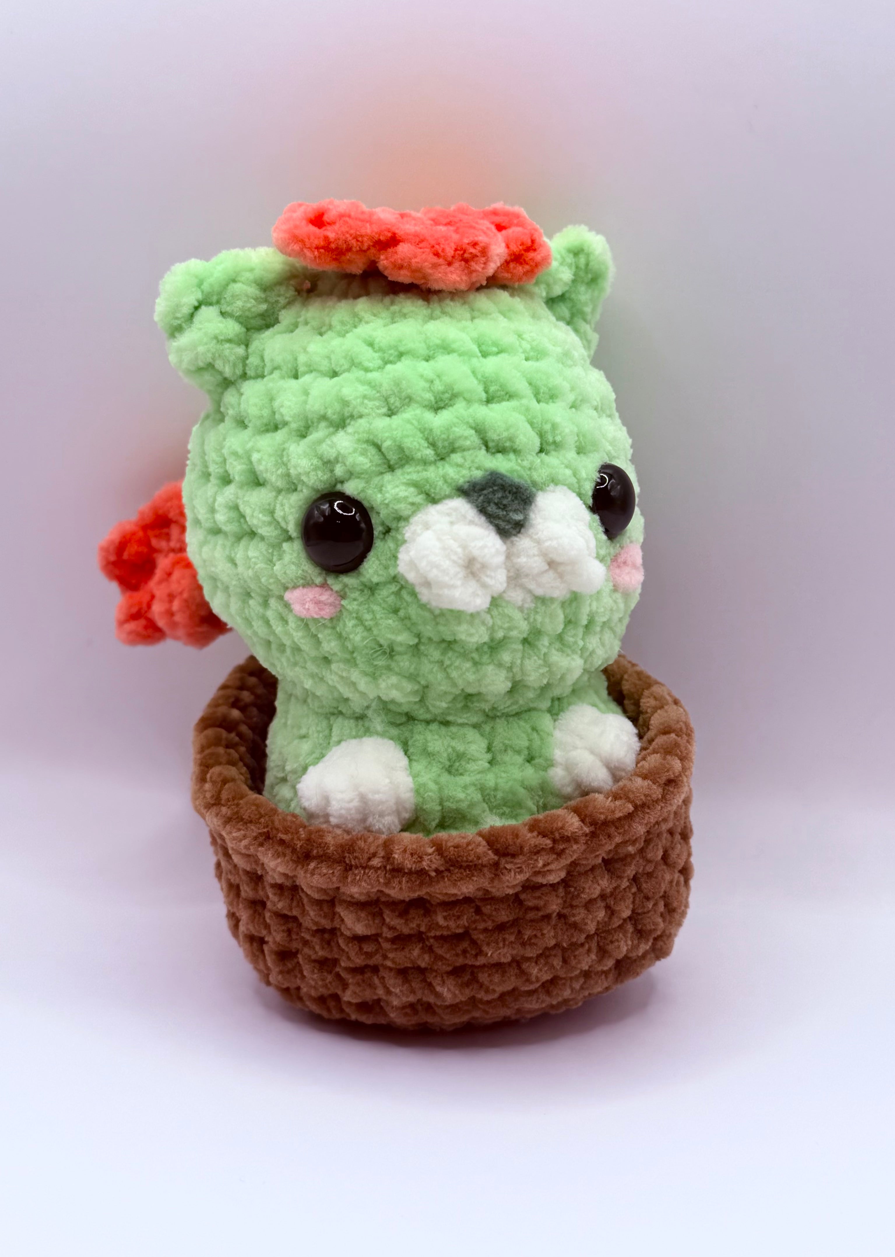 Cactus Cat